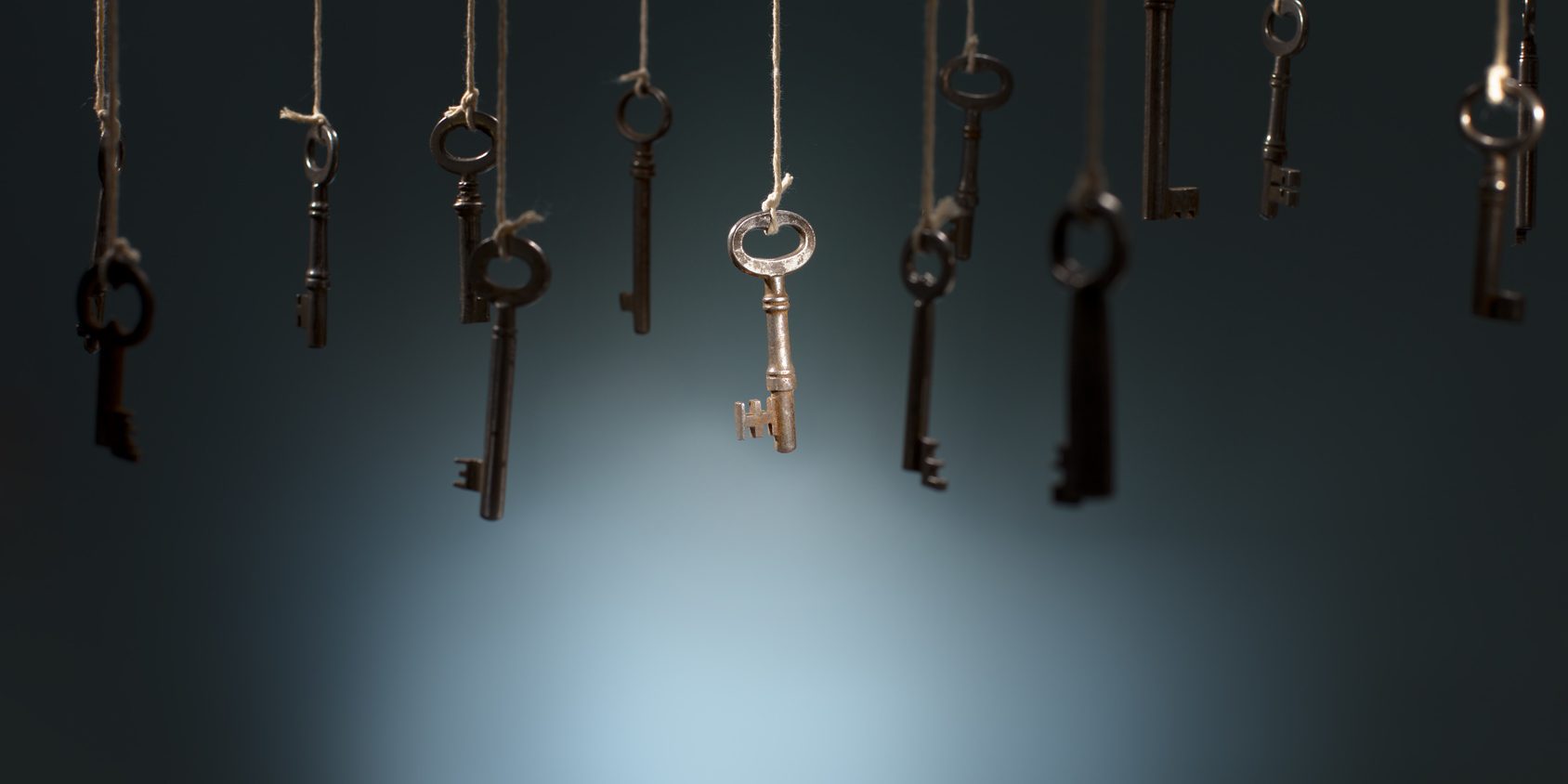 The Right Key business - Robinson Voss Partners