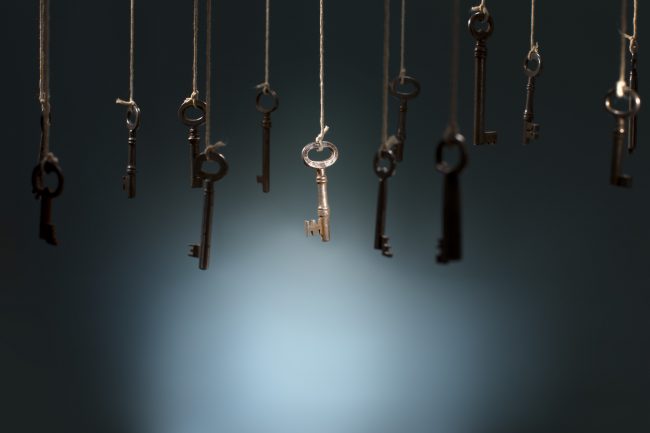 The Right Key business - Robinson Voss Partners