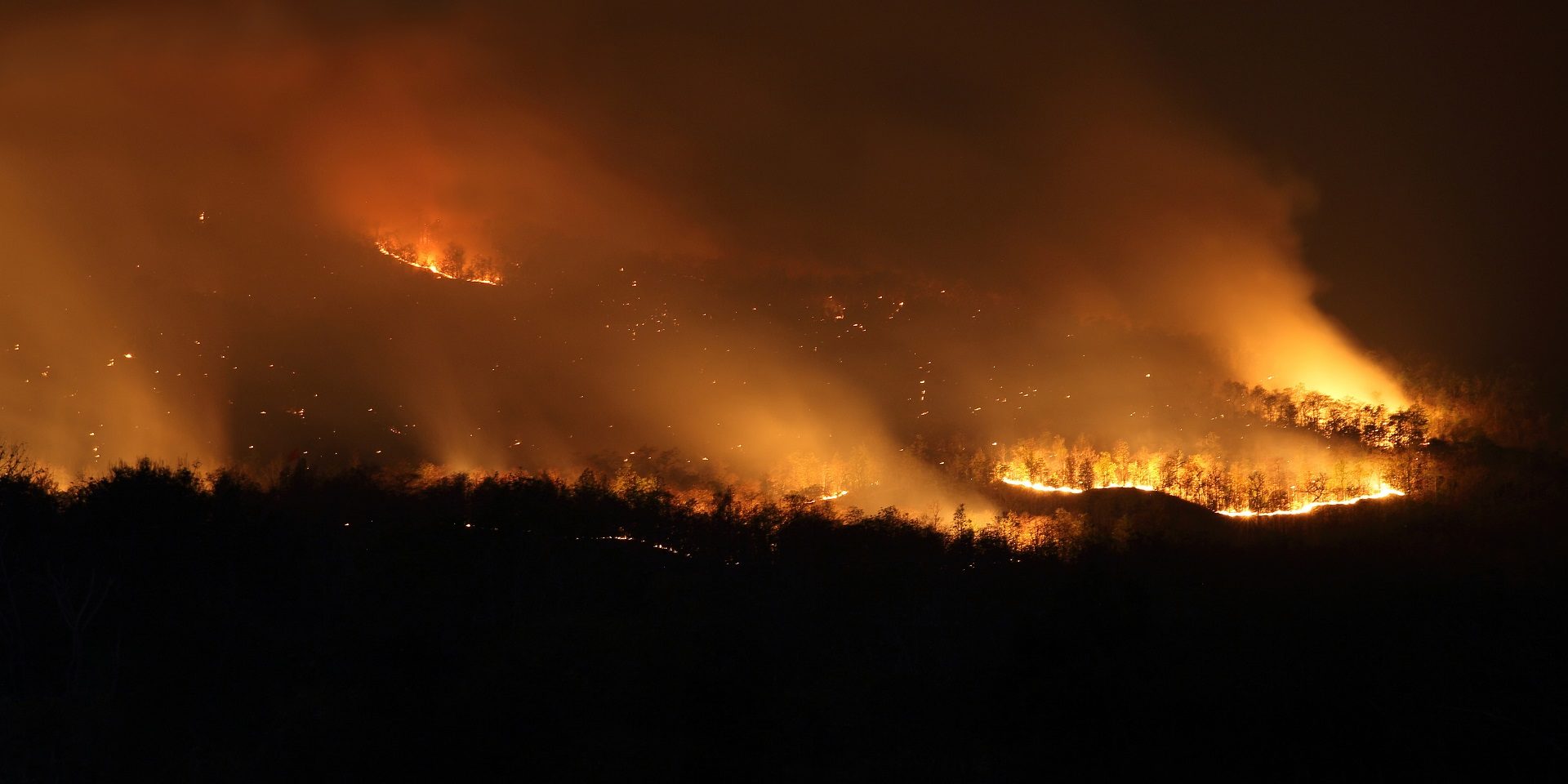 Bushfire Wildfire at night The ATO's Bushfire crisis response