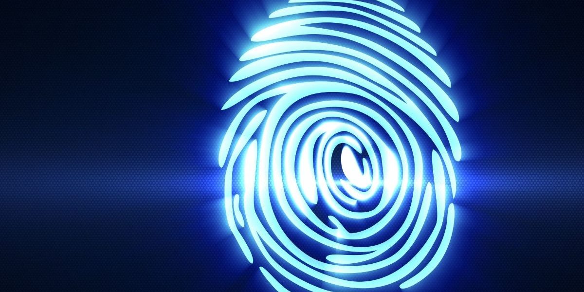 Director Identification Number Director Identification Number