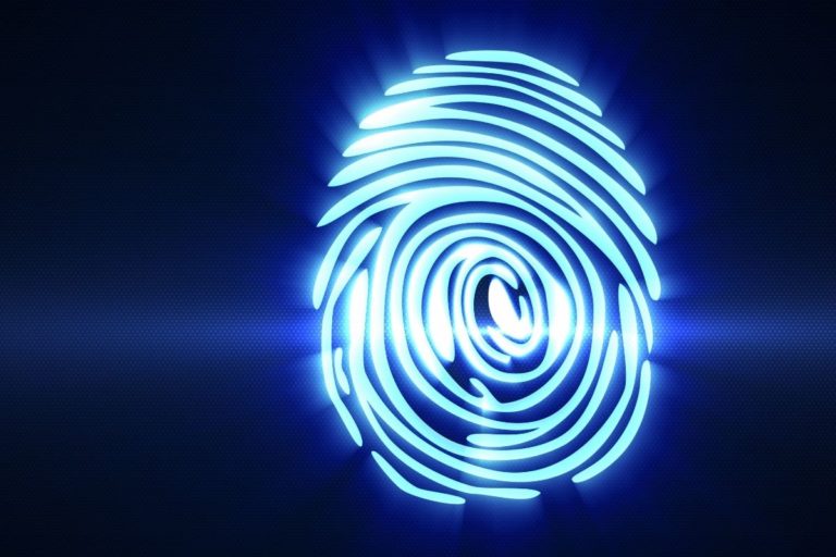 Director Identification Number